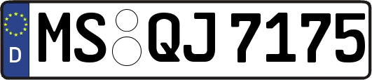 MS-QJ7175