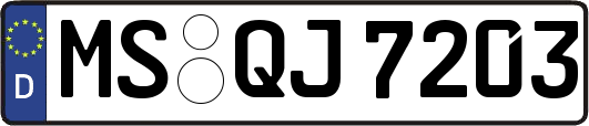 MS-QJ7203