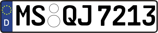 MS-QJ7213
