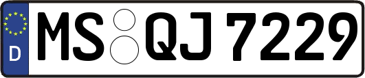 MS-QJ7229