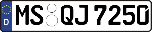 MS-QJ7250