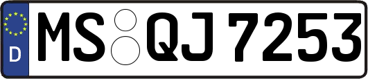 MS-QJ7253