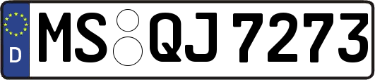 MS-QJ7273