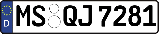 MS-QJ7281