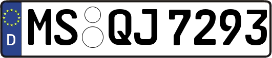 MS-QJ7293