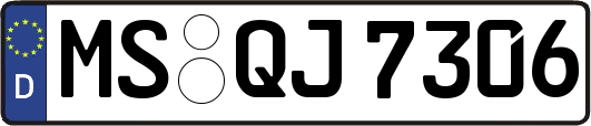 MS-QJ7306