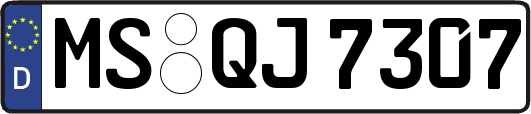 MS-QJ7307