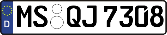 MS-QJ7308