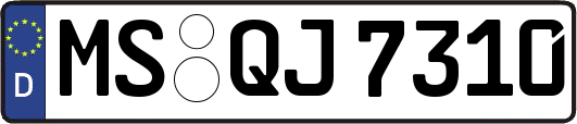 MS-QJ7310