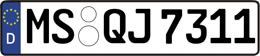 MS-QJ7311
