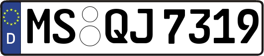 MS-QJ7319