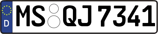 MS-QJ7341