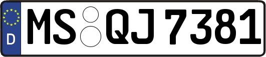MS-QJ7381