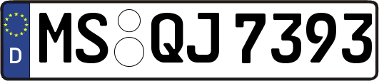 MS-QJ7393