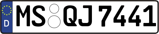 MS-QJ7441