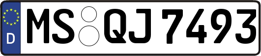MS-QJ7493