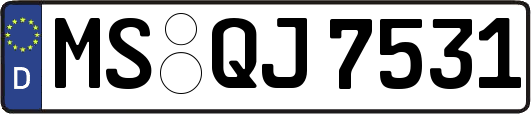 MS-QJ7531