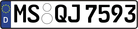 MS-QJ7593