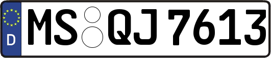 MS-QJ7613