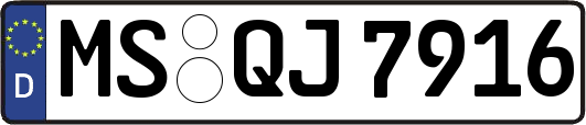 MS-QJ7916