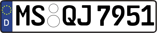 MS-QJ7951