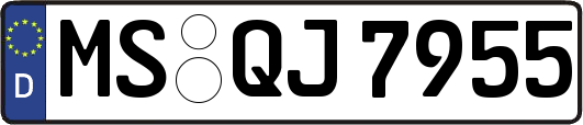 MS-QJ7955