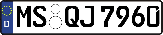 MS-QJ7960