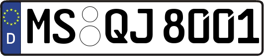 MS-QJ8001