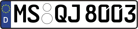 MS-QJ8003