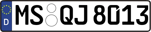 MS-QJ8013
