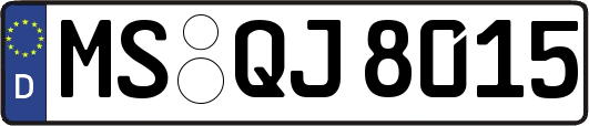 MS-QJ8015