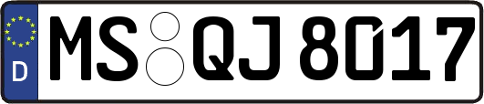MS-QJ8017