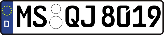 MS-QJ8019