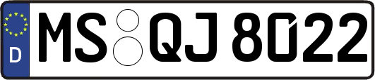 MS-QJ8022