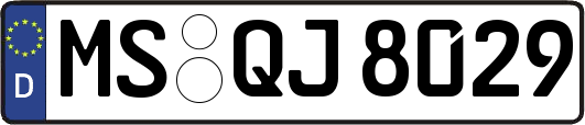 MS-QJ8029