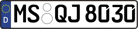 MS-QJ8030