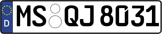 MS-QJ8031