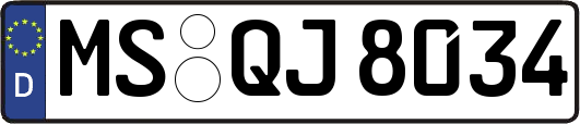 MS-QJ8034