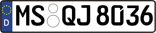 MS-QJ8036