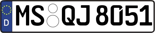 MS-QJ8051