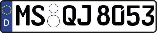 MS-QJ8053