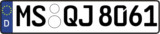 MS-QJ8061