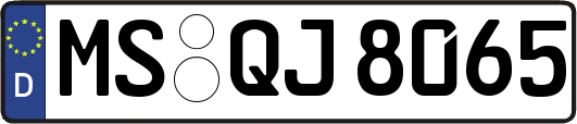 MS-QJ8065