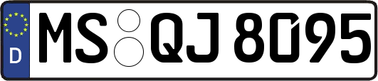 MS-QJ8095
