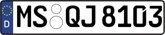 MS-QJ8103