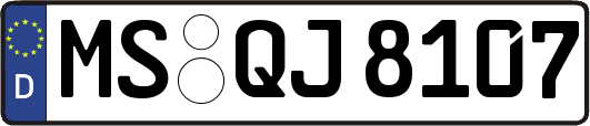 MS-QJ8107