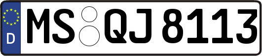 MS-QJ8113