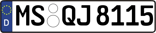 MS-QJ8115