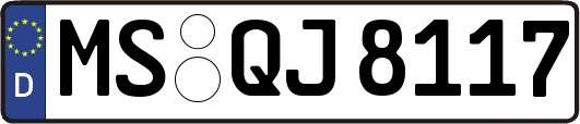 MS-QJ8117