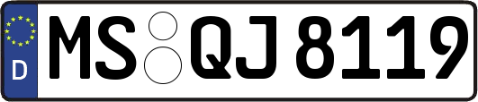 MS-QJ8119